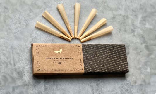 Shorty Cones (300 box) in a box