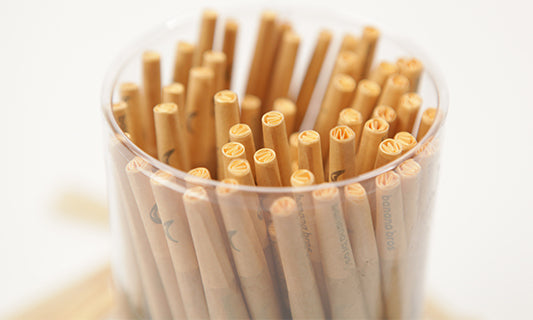 120 Cone Tube in container